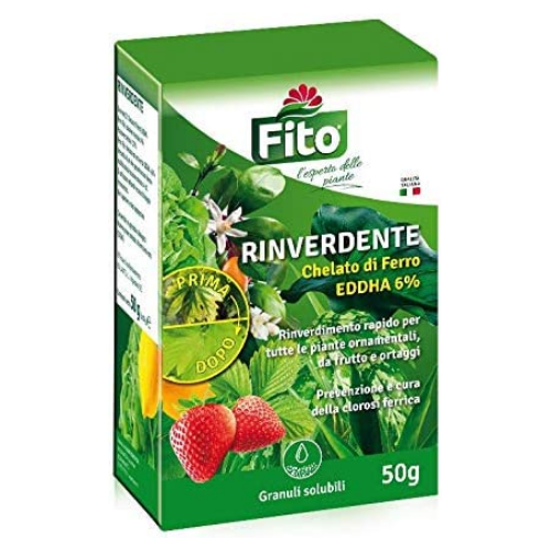 RINVERDENTE FITO 50GR