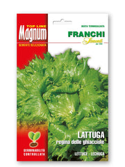 SEMI DI LATTUGA REGINA DELLE GHIACCIOLE