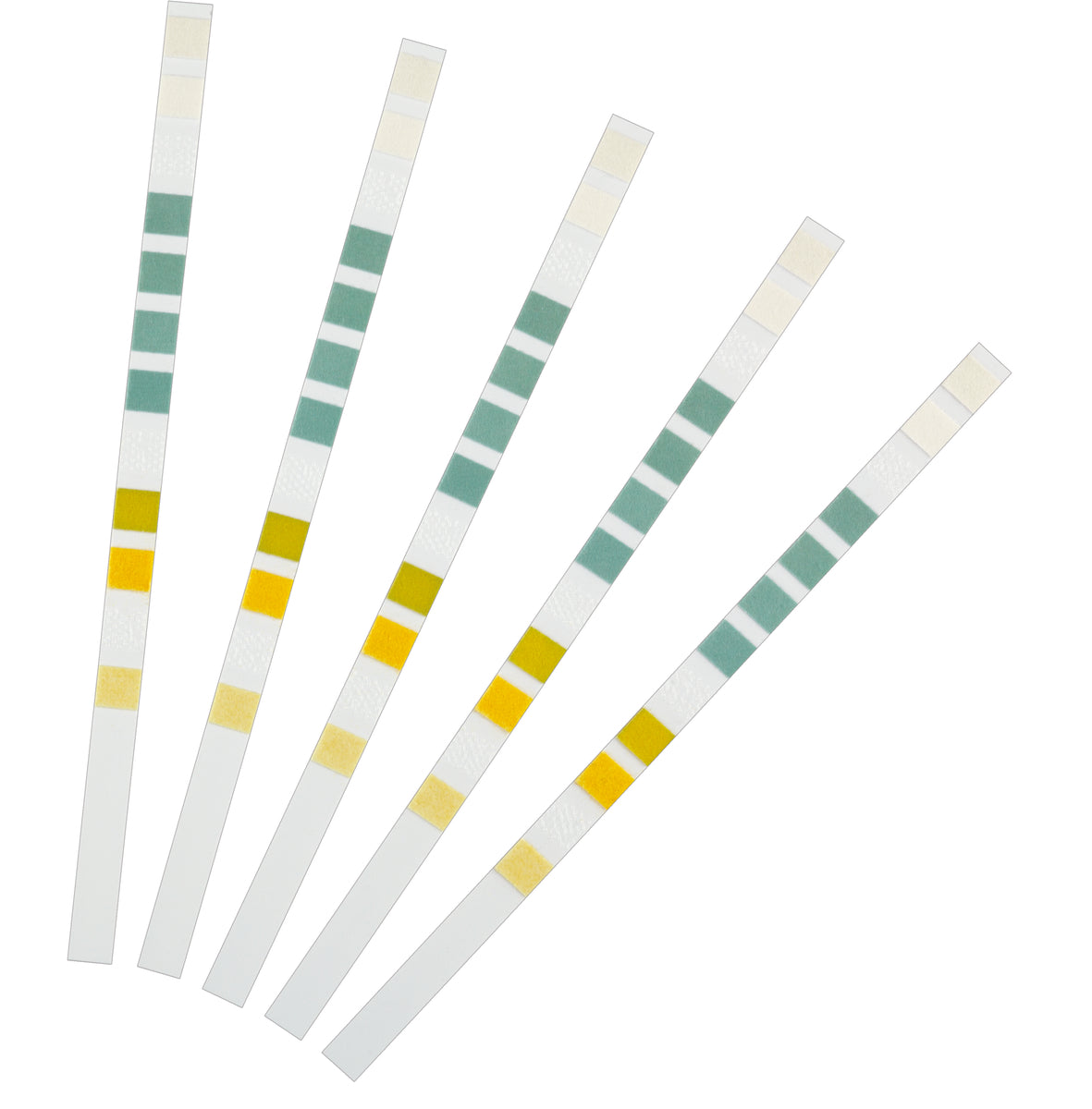 AQUAACTIV QUICKSTICKS 6IN1 PER ANALISI DELL'ACQUA OASE