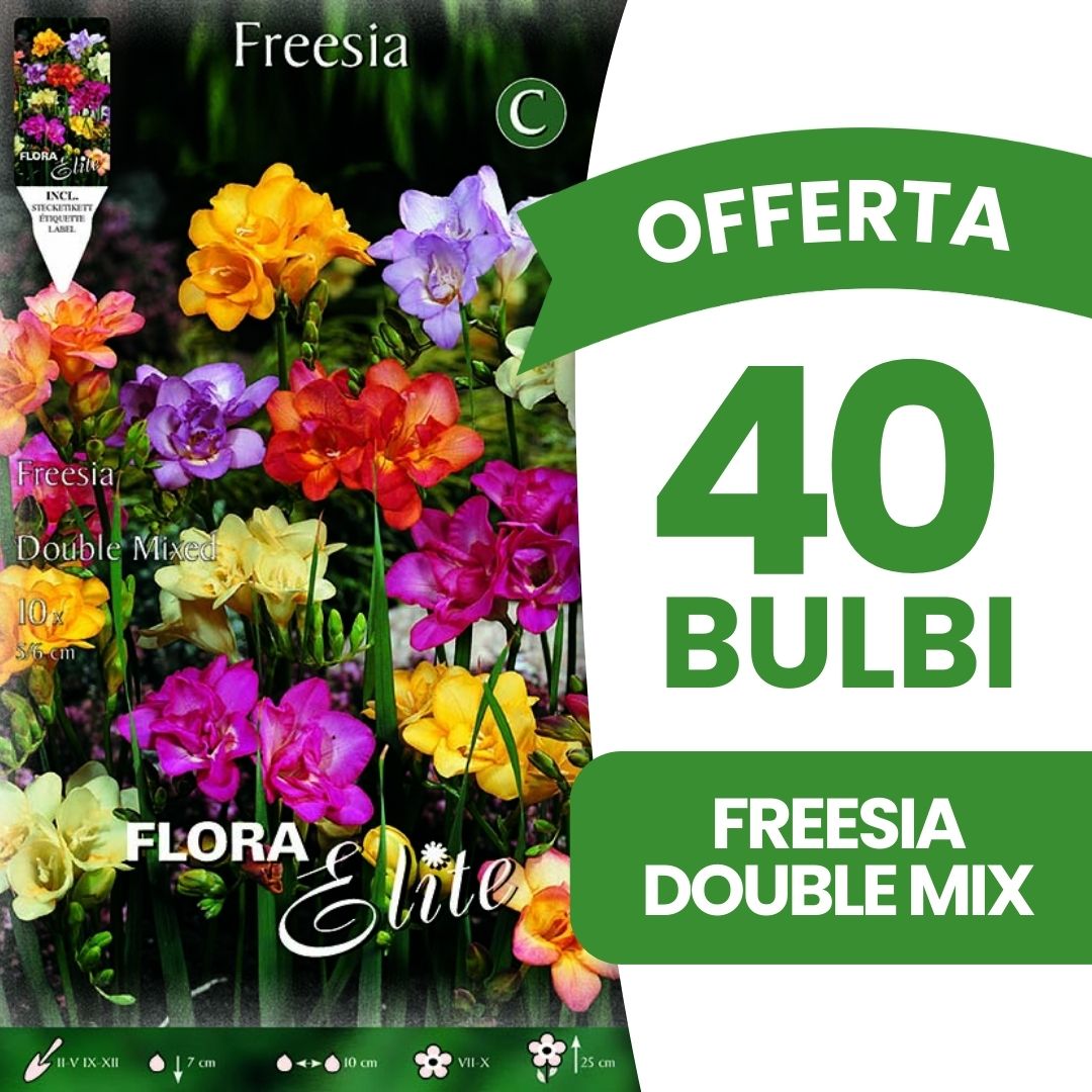 OFFERTA 40 BULBI FREESIA DOUBLE MIX