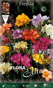 FREESIA DOUBLE MIX (CONFEZIONE DA 10 BULBI)