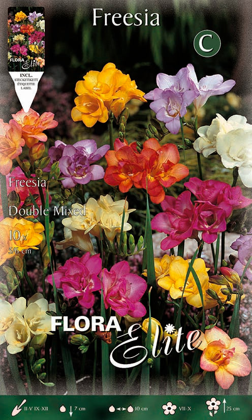 FREESIA DOUBLE MIX (CONFEZIONE DA 10 BULBI)