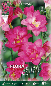 FREESIA DOUBLE PINK (CONFEZIONE DA 10 BULBI)