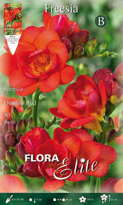 FREESIA DOUBLE RED (CONFEZIONE DA 10 BULBI)