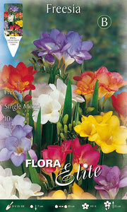 FREESIA SINGLE MIXED (CONFEZIONE DA 10 BULBI)