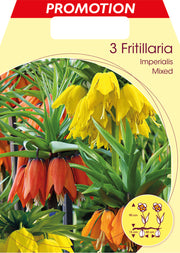 FRITILLARIA IMPERIALIS MIX (CONFEZIONE DA 3 BULBO)