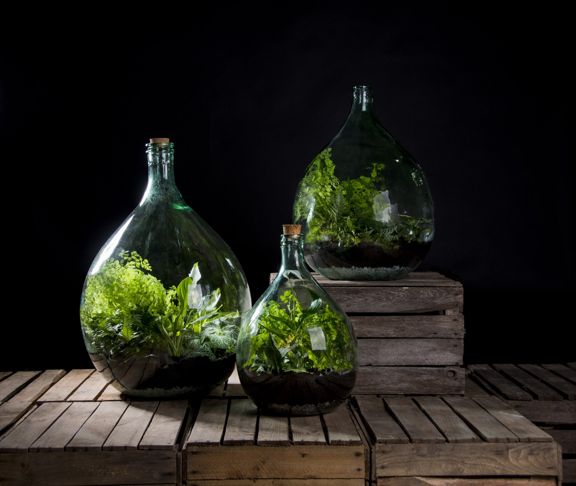 SPAZZOLA DA 67 CM PER ECOSISTEMA TERRARIUM