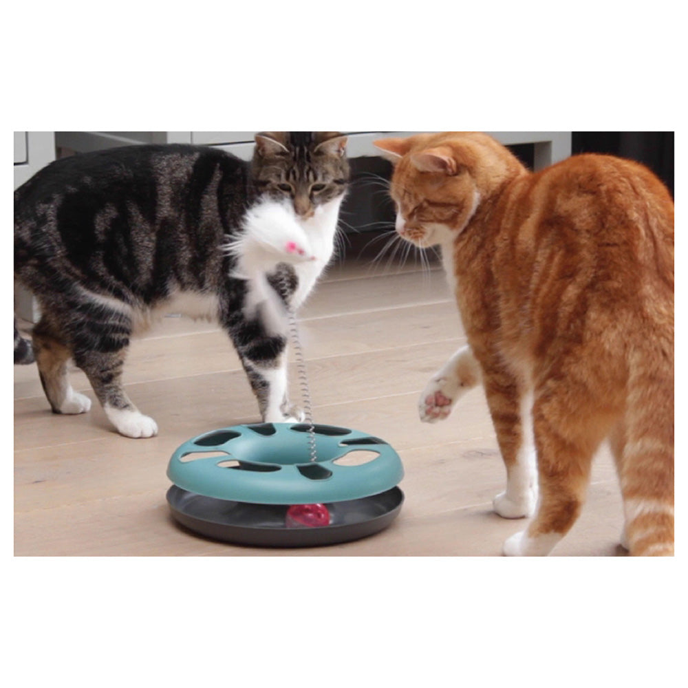 GIOCO PER GATTI 3 IN 1 CRAZY CAT DONUT COLORI ASSORTITI
