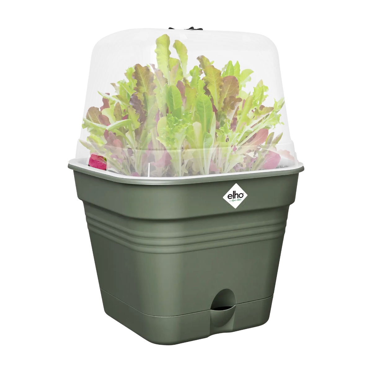 VASO DA COLTURA GREEN BASICS GROWPOT SQUARE ALLIN1 15CM LEAF GREEN