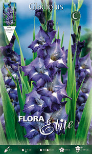 GLADIOLI A FIORI GRANDI BLUE ISLE (CONFEZIONE DA 10 BULBI)
