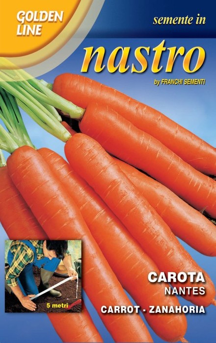 BUSTINA NASTRO SEMI DI CAROTA NANTES