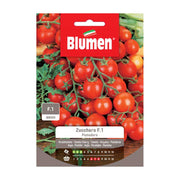 SEMI POMODORO ZUCCHERO F1 BLUMEN
