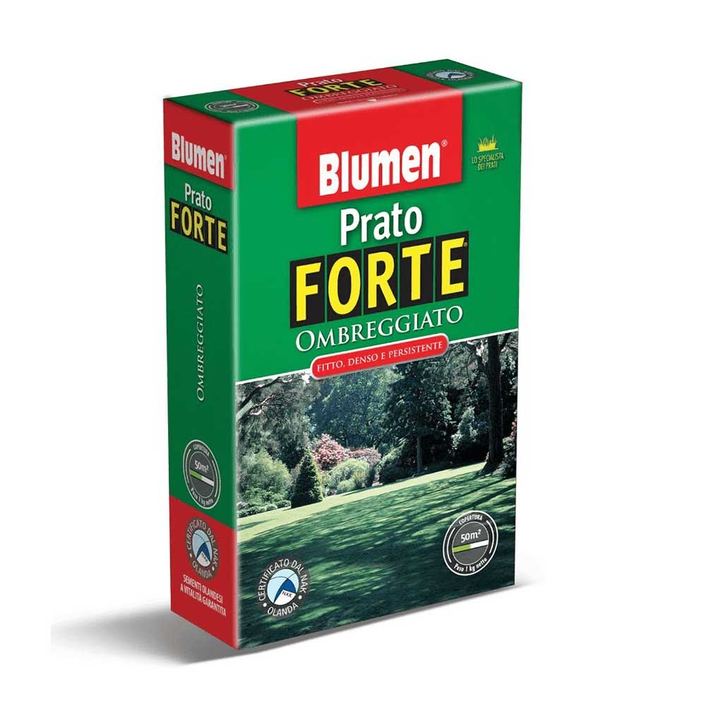 PRATO FORTE OMBREGGIATO 200GR BLUMEN