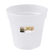 VASO ORCHIDEE GREEN BASICS ORCHID 17CM TRASPARENTE