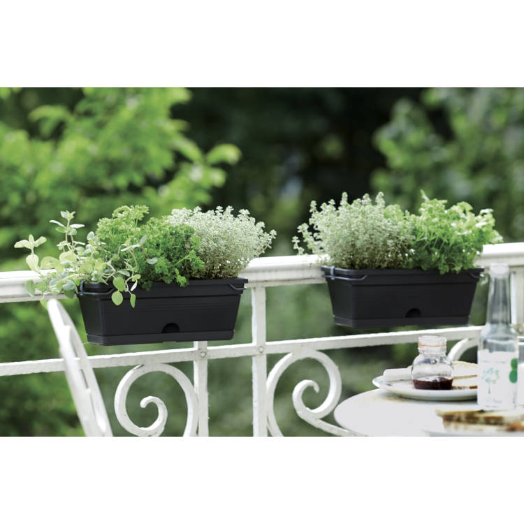 FIORIERA GREEN BASICS TROUGH MINI ALLIN1 30CM COLORE A SCELTA