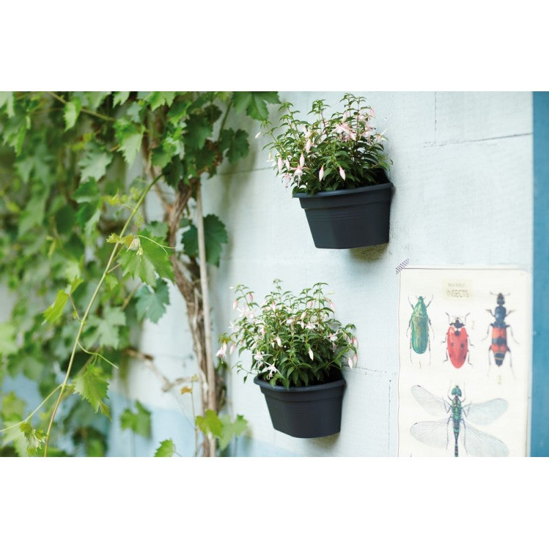 VASO GREEN BASICS WALL BASKET 30CM COLORE A SCELTA