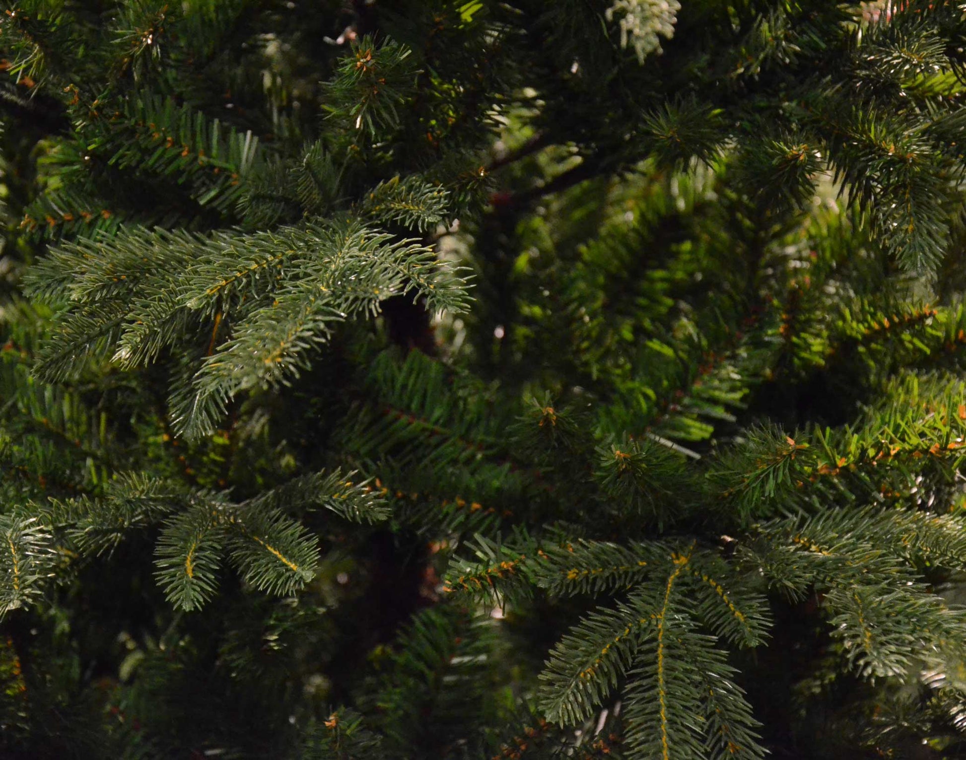 ALBERO DI NATALE GREENWICH 210CM VERDE