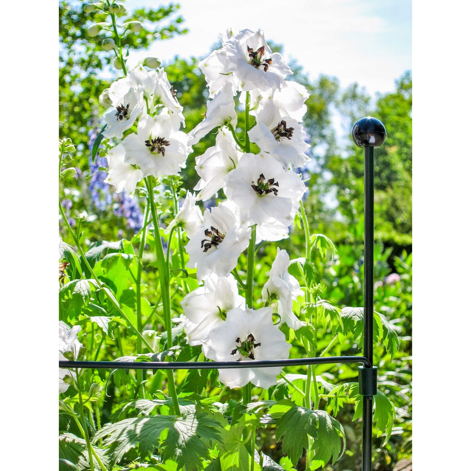 PERNO STANDARD PER SOSTEGNO PIANTE DA 7 MM-125 CM