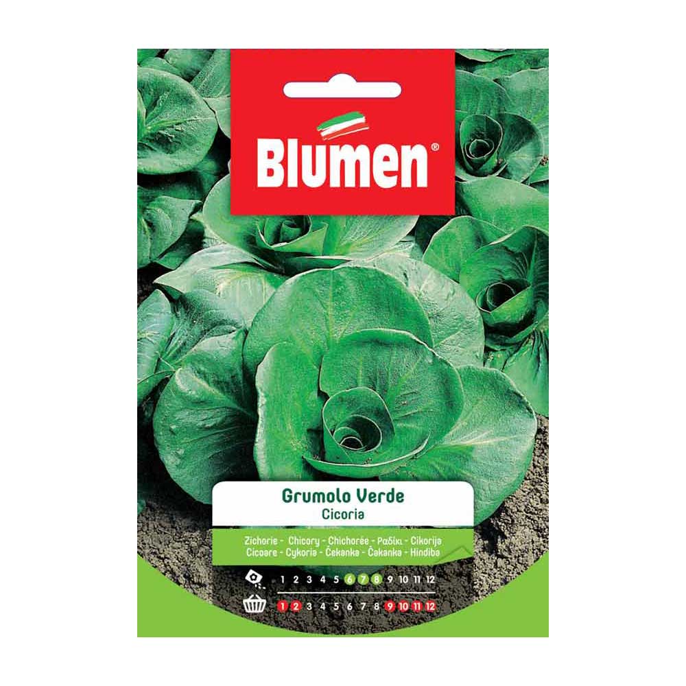 SEMI CICORIA TAGLIO GRUMOLO VERDE M BLUMEN