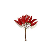 DECORAZIONE NATALIZIA, MAZZO DI PEPERONCINI, H12CM