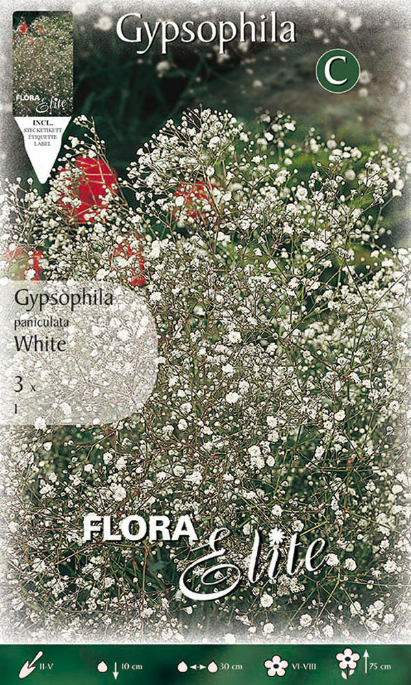 OFFERTA 9 BULBI GYPSOPHYLA PANICULATA BIANCA