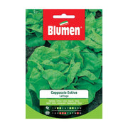 SEMI LATTUGA CAPPUCCIO ESTIVA BLUMEN