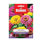 SEMI ZINNIA GIGANTE MIX CALIFORNIA BLUMEN