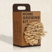 HOME GROWING KIT FUNGO DI OSTRICA