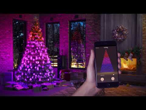 OFFERTA ALBERO DI NATALE GRANDIS 180CM + TWINKLY LUCI DI NATALE 600 LED