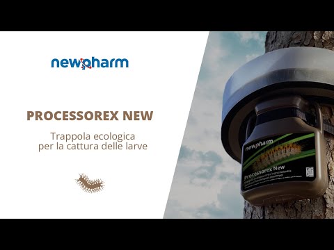 TRAPPOLA PER LA CATTURA DELLE LARVE - PROCESSOREX NEW XL