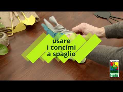 CONCIME ORGANICO PER AGRUMI GRANULARE FLORTIS 4 KG