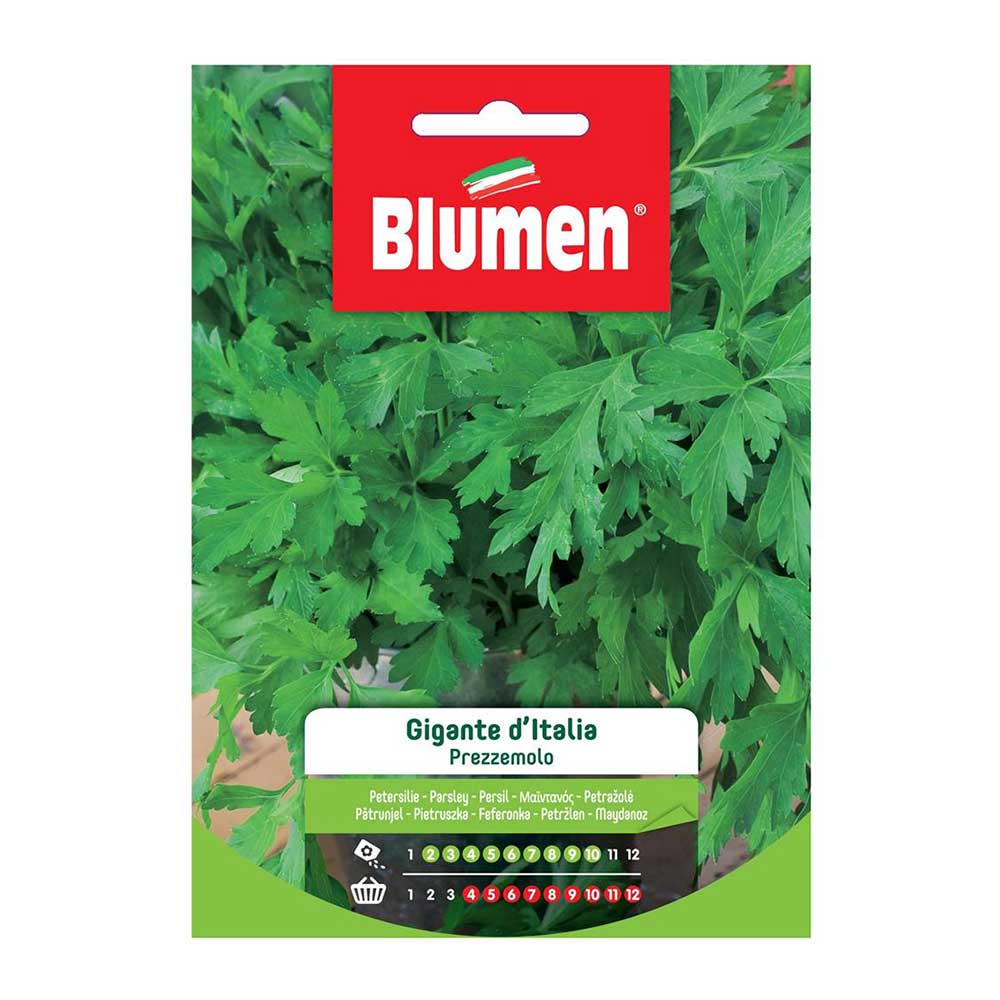 SEMI PREZZEMOLO GIGANTE D'ITALIA BLUMEN