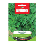 SEMI PREZZEMOLO GIGANTE D'ITALIA BLUMEN