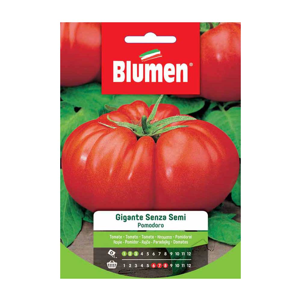 SEMI DI POMODORO GIGANTE SENZA SEMI BLUMEN