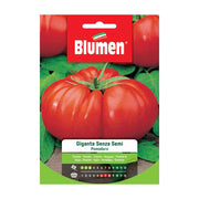 SEMI DI POMODORO GIGANTE SENZA SEMI BLUMEN