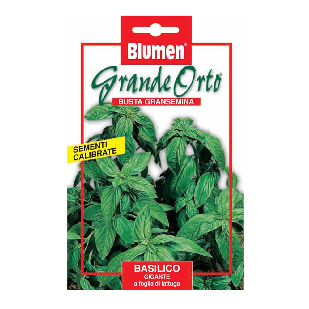 SEMI BASILICO GIGANTE MAXI ORTO BLUMEN