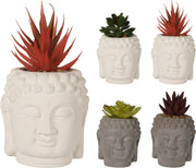 VASO BUDDA CON PIANTA ARTIFICIALE MODELLO ASSORTITO 8X13CM