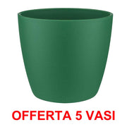 OFFERTA 5 VASO BRUSSELS ROUND MINI 7CM LUCKY GREEN