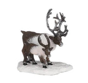 Reindeers - Luville