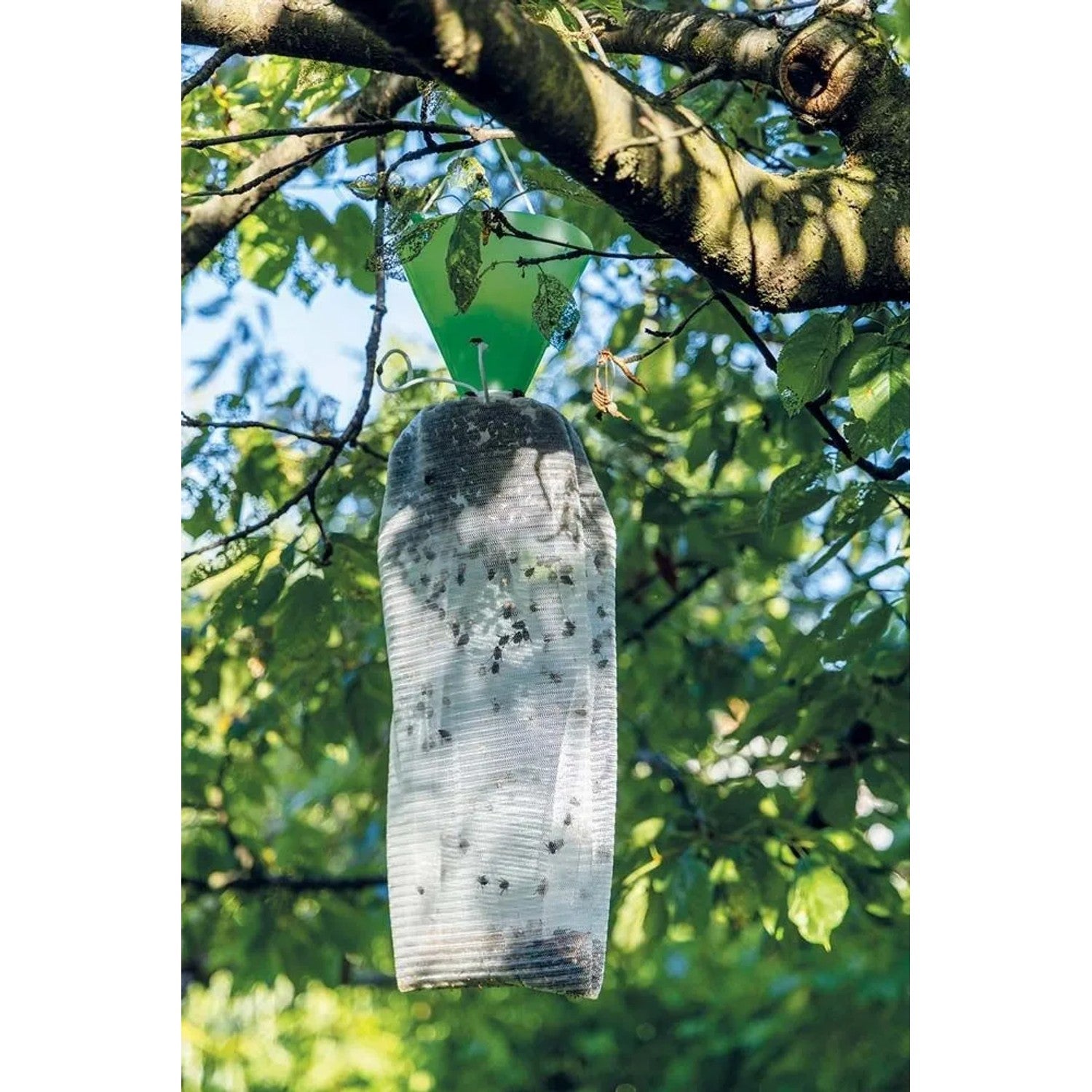 Trappola per Popillia Japonica a feromoni con sacchetto extralarge FLORTIS