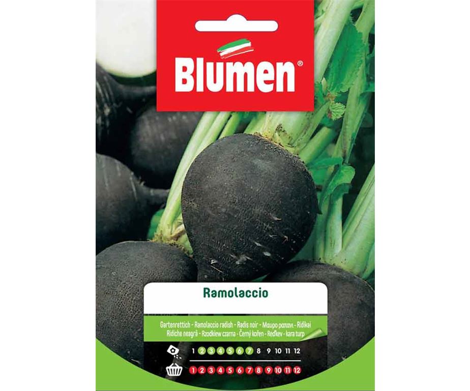 SEMI RAMOLACCIO BLUMEN