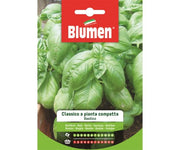 SEMI BASILICO CLASSICO A PIANTA COMPATTA