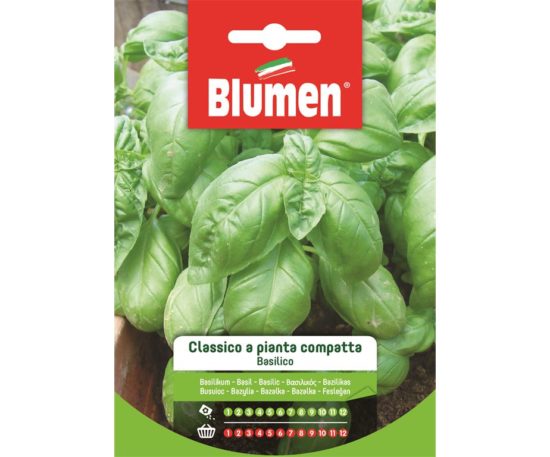 SEMI BASILICO CLASSICO A PIANTA COMPATTA