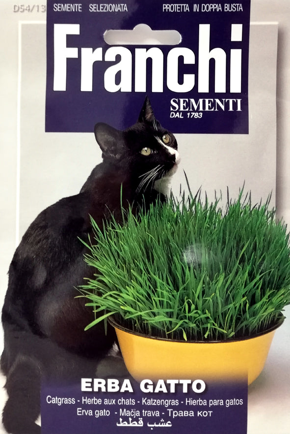 BUSTINA MISCUGLIO DI ERBA GATTO