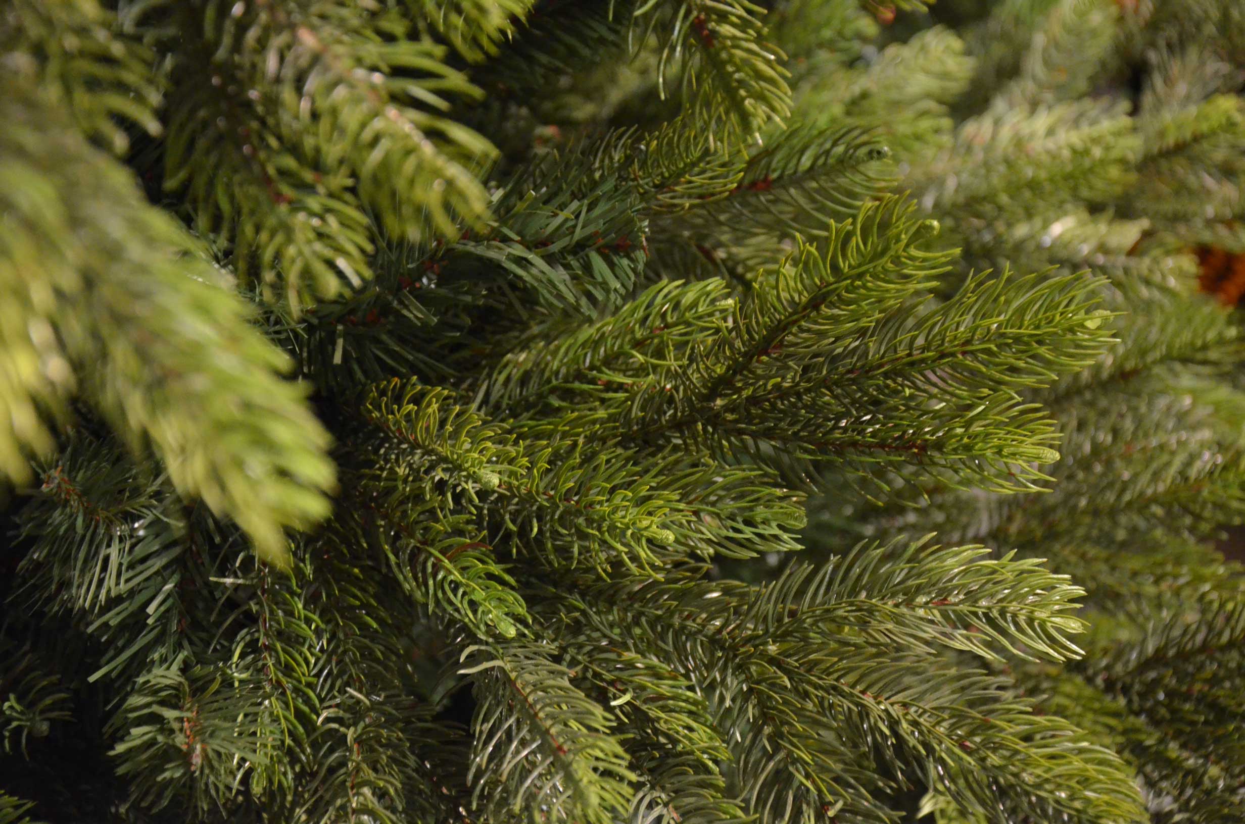 ALBERO DI NATALE IMPERIALE 180CM VERDE
