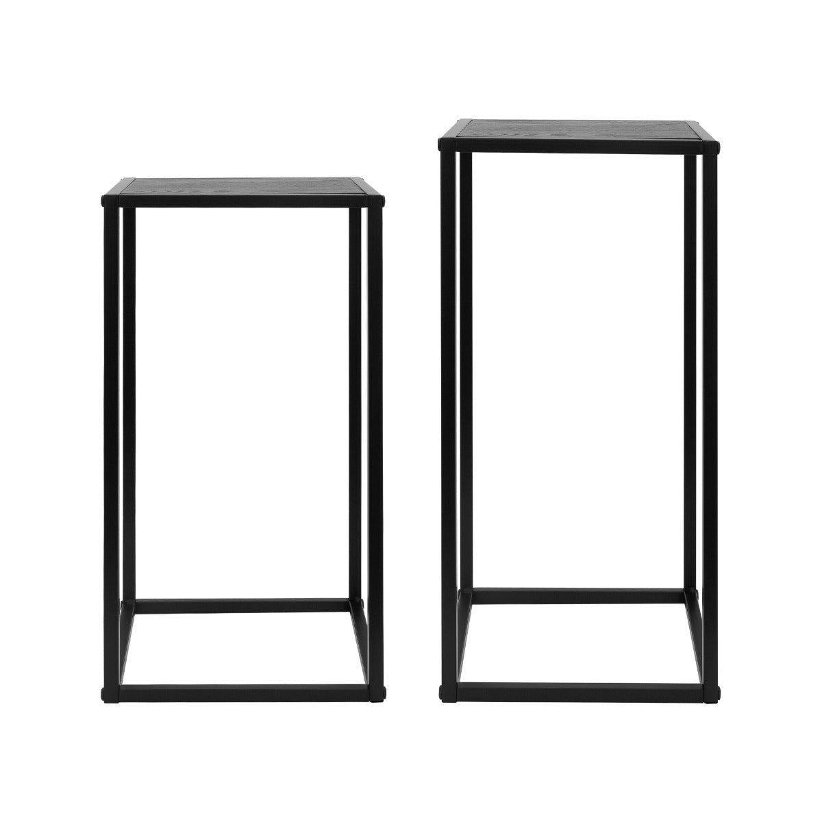 SET 2 SUPPORTI PER FIORI E PIANTE NERO IN METALLO 50/60 CM