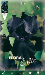 IRIS GERMANICA BLACK (1 Stück pro Packung)