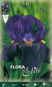 IRIS GERMANICA BLEU (PAQUET DE 1 BULBE)