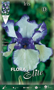 IRIS GERMANICA BLAU UND WEISS (1 Stück pro Packung)