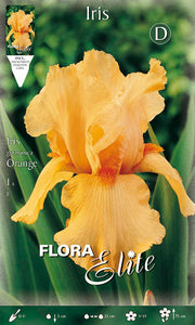IRIS GERMANICA ARANCIONI (CONFEZIONE DA 1 BULBO)